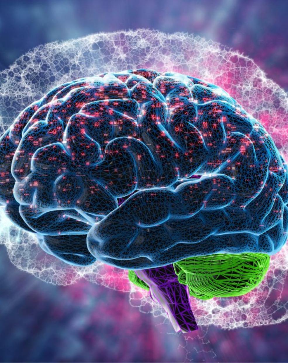 Brain Health: How To Keep Your Brain Healthy & Your  Mind Sharp