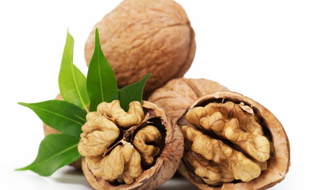 cracked open walnuts that resemble the brain