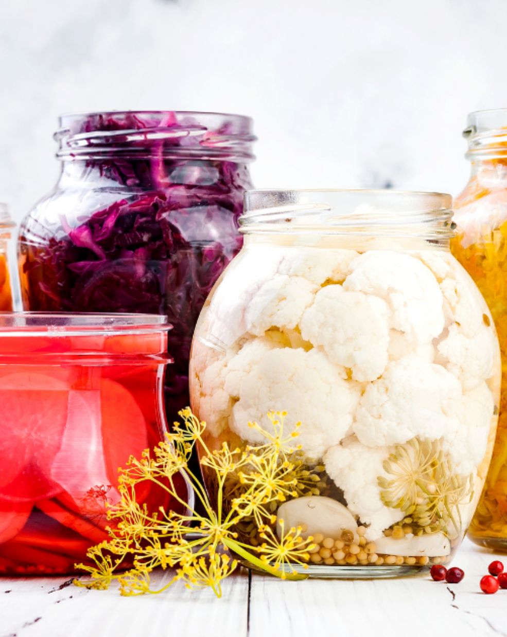 Discover the Health Benefits of Fermented Foods - Link between gut health, fermented foods, and mental wellness